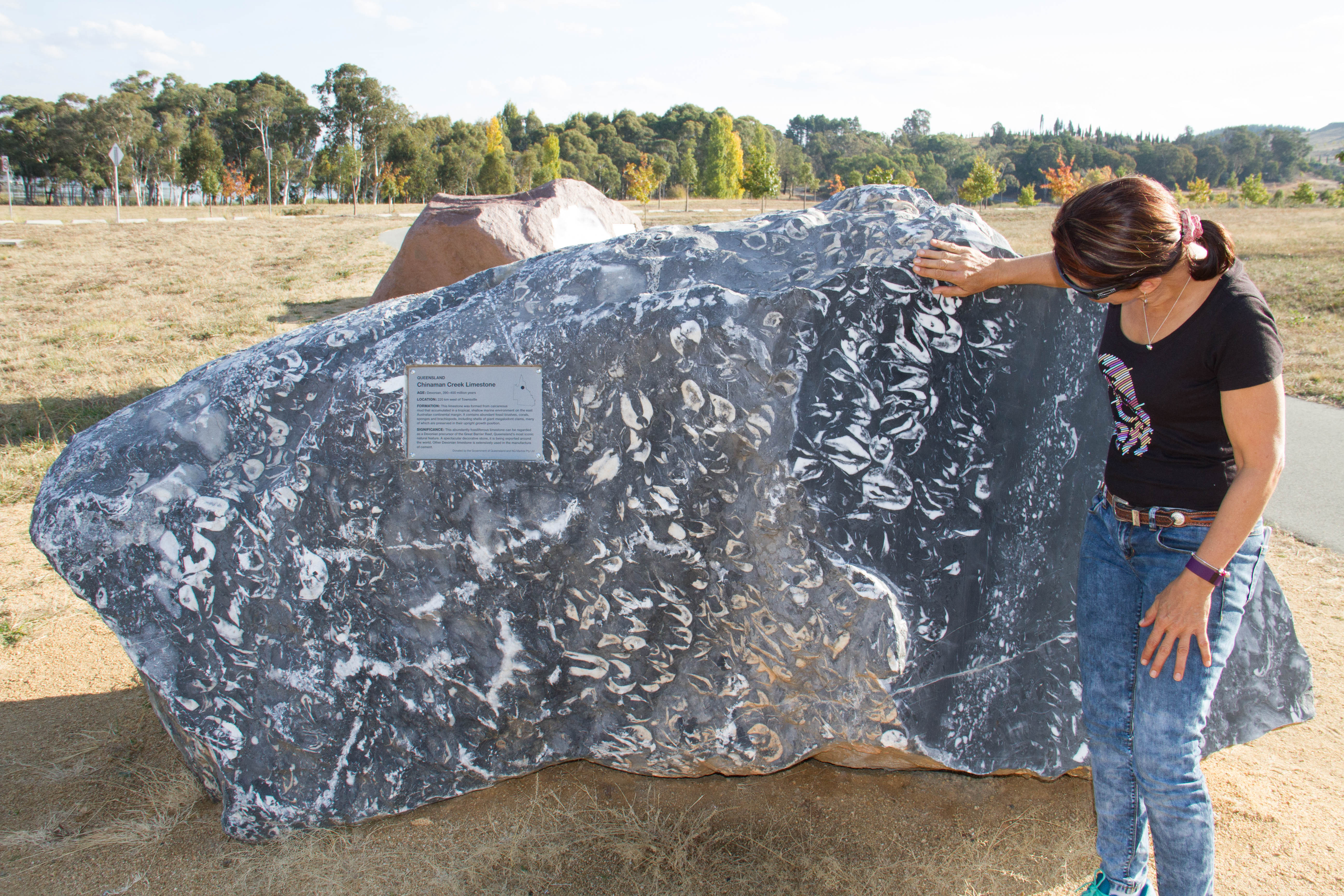 Queensland's Chinaman Creek Limestone, a Devonian limestone exposed about 220 km west of Townsville.