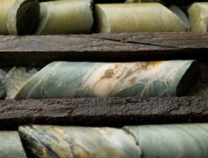 edumine-quality-control-assays