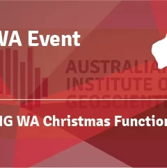 AIG WA Christmas Function