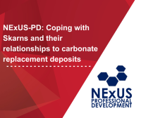 NExUS-PD: Coping with Skarns and their relationships to carbonate replacement deposits