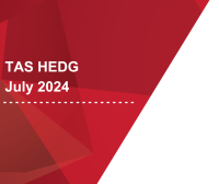 AIG TAS HEDG July 2024